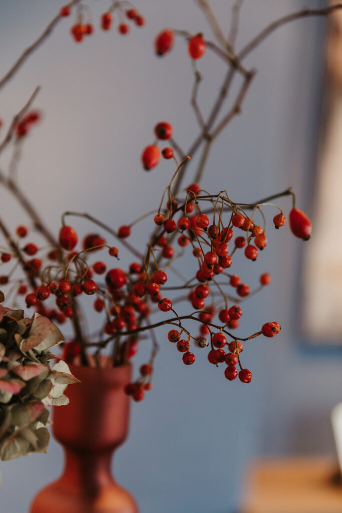 Zweige mit roten Beeren in einer Vase